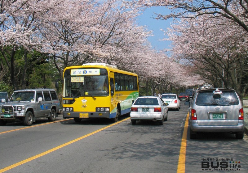 대중교통 선진도시를 꿈꾼다 - 제주시 공영버스